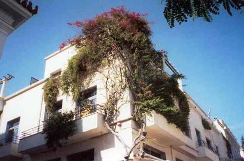 Imagen general del The Student y Travellers Inn. Foto 14