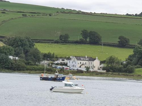 Imagen general del The Teifi Waterside Hotel. Foto 2