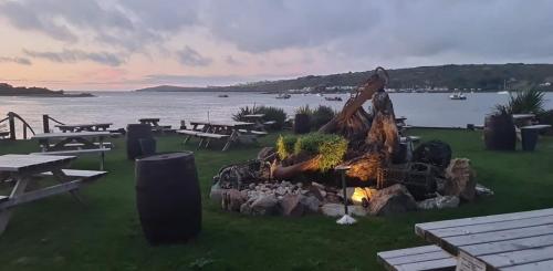 Imagen general del The Teifi Waterside Hotel. Foto 3