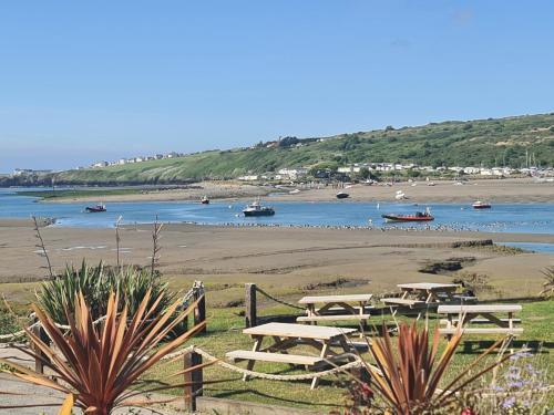 Imagen general del The Teifi Waterside Hotel. Foto 12