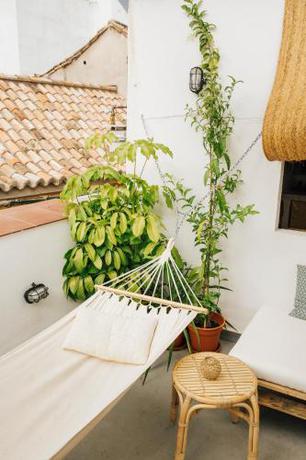 Imagen general del The Urban Jungle Hostel. Foto 3