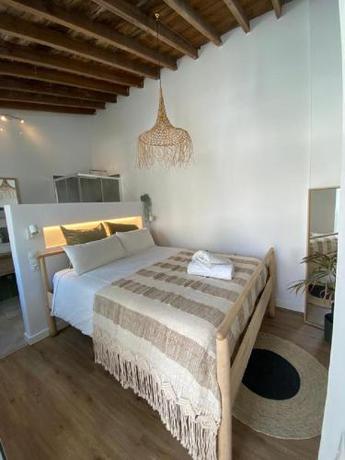 Imagen de la habitación del The Urban Jungle Hostel. Foto 11