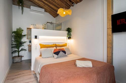 Imagen de la habitación del The Urban Jungle Hostel. Foto 17