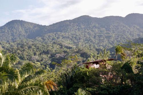 Imagen de la habitación del The Valley Tayrona Hostel -A unique nature experience. Foto 19