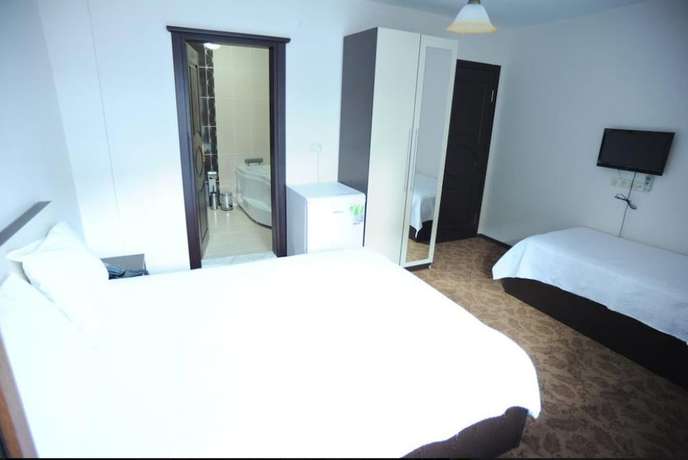 Imagen de la habitación del Thermal Aydin Hotel. Foto 10