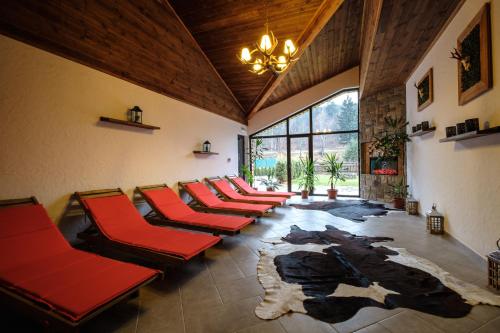 Imagen general del Thermal Camping Velingrad. Foto 15