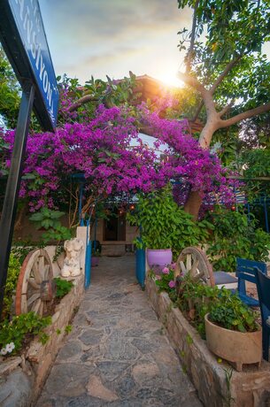 Imagen general del Thetis Pansiyon. Foto 4