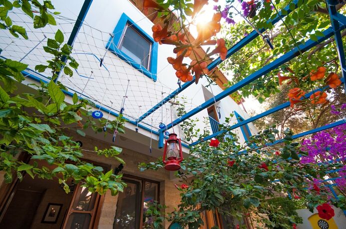 Imagen general del Thetis Pansiyon. Foto 5