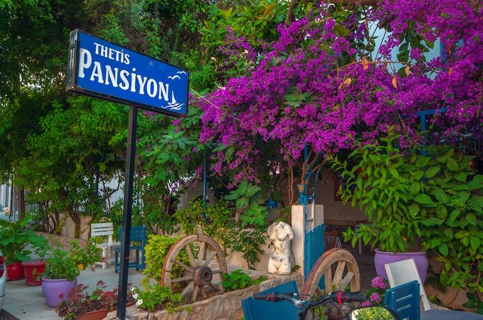 Imagen general del Thetis Pansiyon. Foto 6
