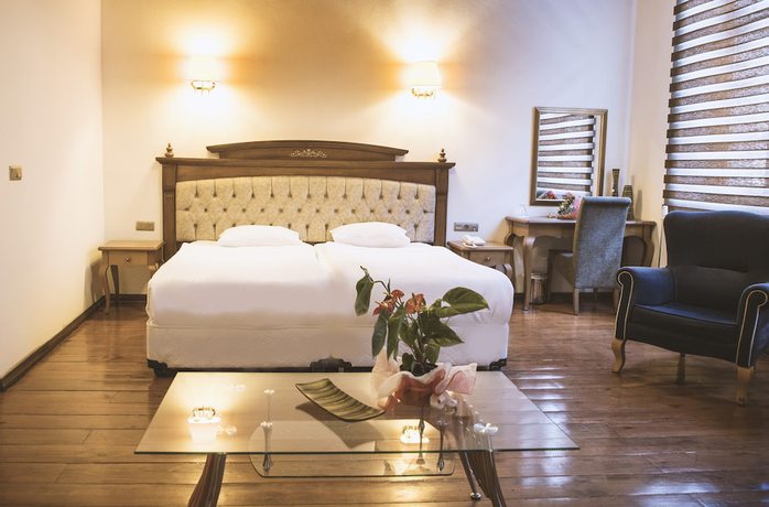Imagen de la habitación del Thrace Konak Hotel and Spa. Foto 18