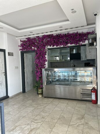 Imagen general del Tiana Butik Otel. Foto 16