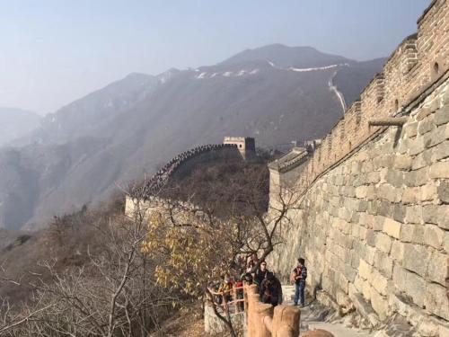 Imagen de la habitación del Tianjin Jixian Libo Family Farmstay. Foto 6