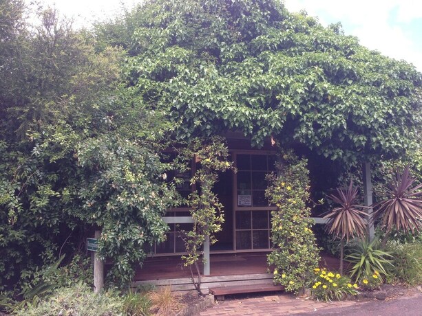 Imagen de los interiores del Ti-tree Village. Foto 36