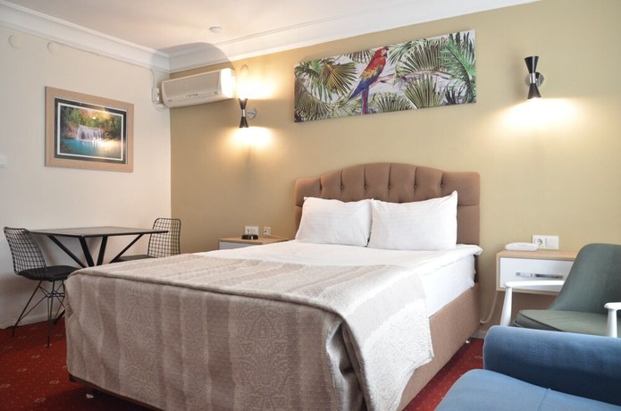 Imagen de la habitación del Tokat Burcu Hotel. Foto 14