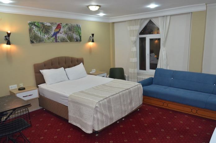 Imagen de la habitación del Tokat Burcu Hotel. Foto 15