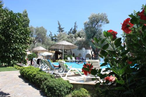 Imagen general del Toloman Bitezpark Apartments. Foto 4