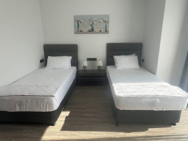 Imagen general del Tolstoy\'un Bisikleti Otel. Foto 4