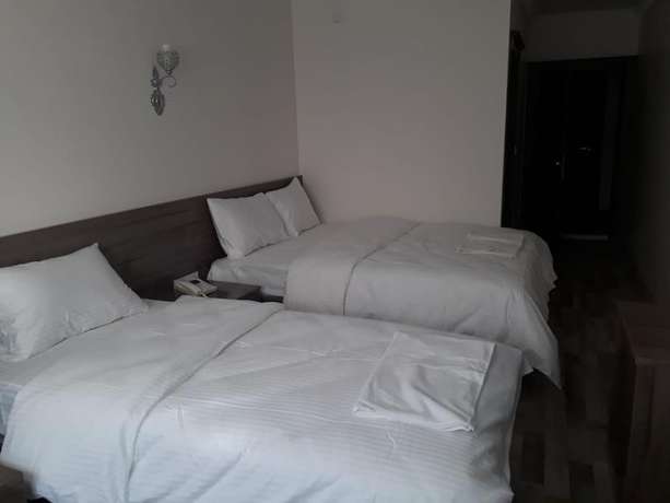 Imagen de la habitación del Toprak Hotel, Van. Foto 2