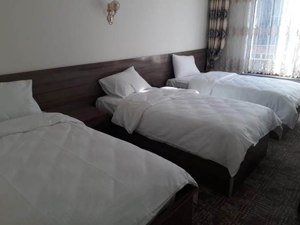 Imagen de la habitación del Toprak Hotel, Van. Foto 4