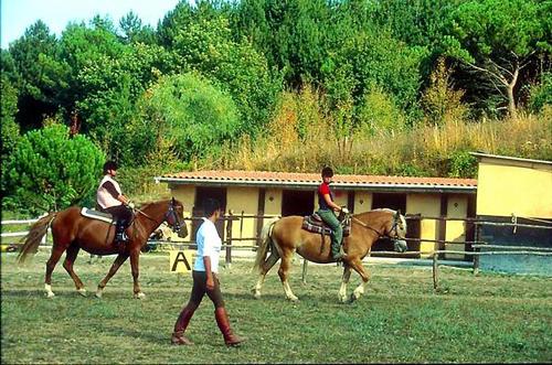 Imagen general del Toscana Wellness Resort. Foto 6