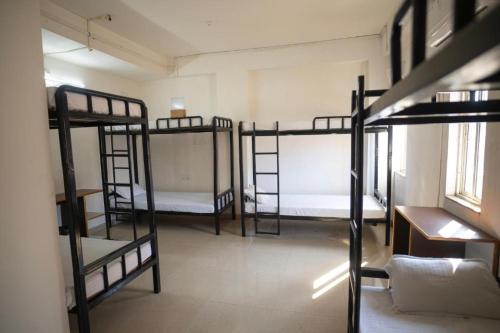 Imagen general del Travelers Hostel. Foto 7