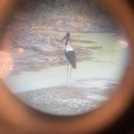 Imagen general del Travellers Backpackers And Free City Tours Iringa. Foto 6