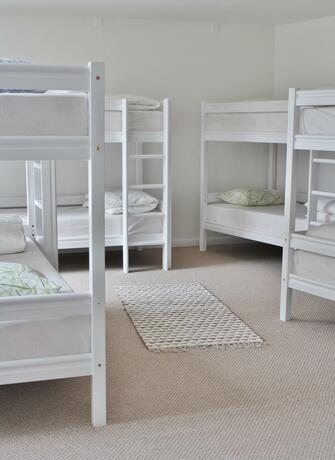 Imagen general del Tree House. Foto 3