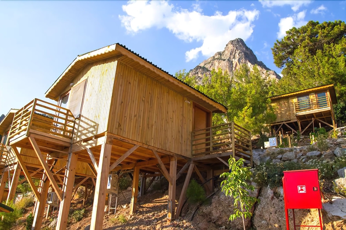 Imagen de la habitación del Tree Houses. Foto 10