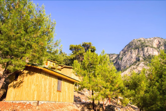 Imagen de la habitación del Tree Houses. Foto 18