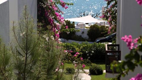 Imagen general del Trendlife Hotels Torba. Foto 5