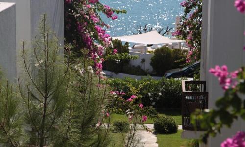 Imagen general del Trendlife Hotels Torba. Foto 18