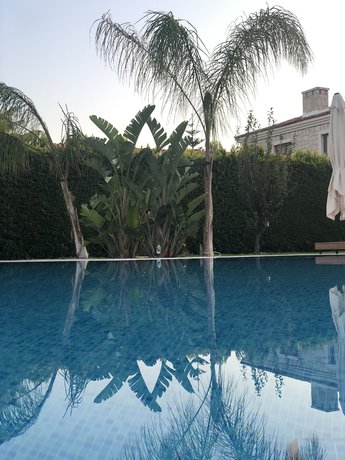 Imagen de la piscina del Triangulo Hotel. Foto 20