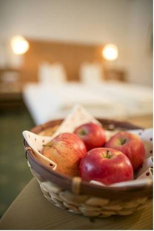 Imagen de la habitación del Trofana Tyrol. Foto 4