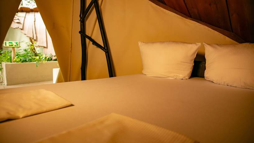 Imagen de la habitación del Tropical Islands. Foto 14