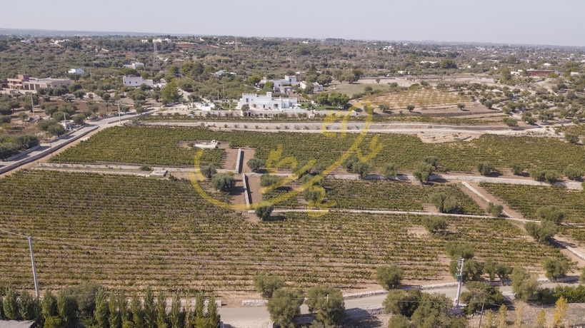 Imagen de la habitación del Trulli Dimore - Casale Donna Madia. Foto 5