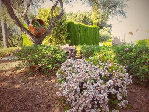 Imagen general del Tu Villa Rural. Foto 7