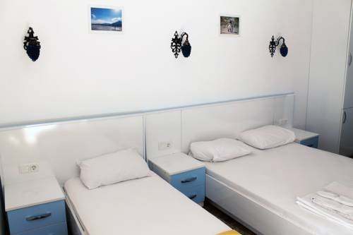 Imagen general del Tulip Guesthouse. Foto 10