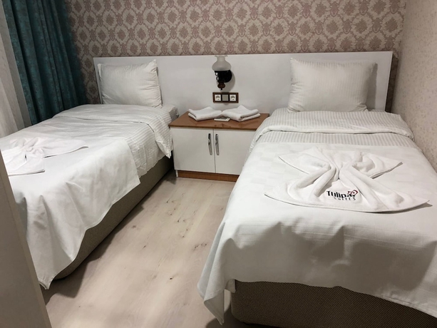 Imagen de la habitación del Tulipa Suites. Foto 7