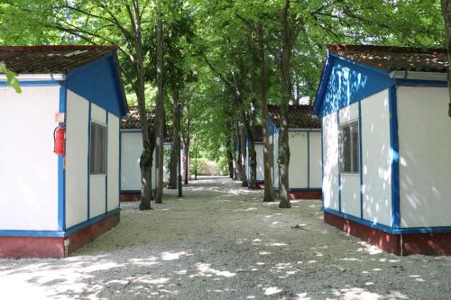 Imagen general del Tulipán Camping. Foto 4