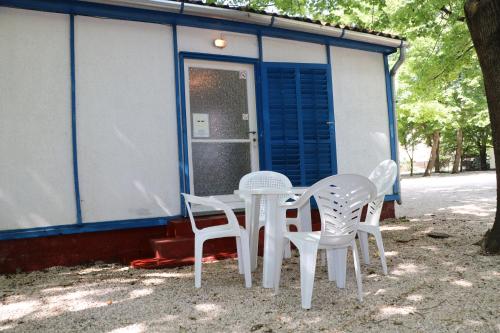 Imagen general del Tulipán Camping. Foto 13