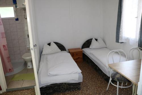 Imagen general del Tulipán Camping. Foto 15