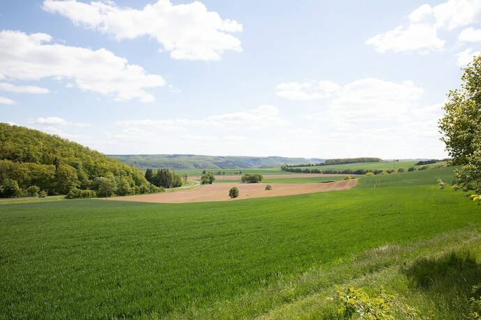 Imagen general del Tullius &ndash; Die Rebmeisterei. Foto 3