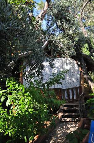 Imagen de la habitación del Turan Hill Lounge. Foto 3