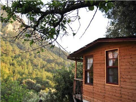 Imagen de la habitación del Turan Hill Lounge. Foto 4