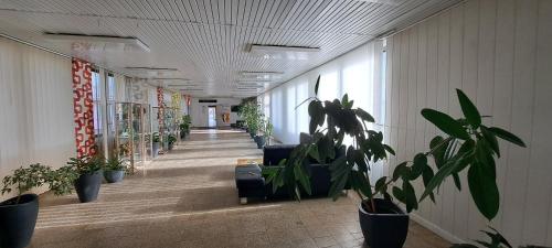 Imagen general del Turistick&aacute; ubytovňa pri &scaron;kolskom intern&aacute;te Medick&aacute; 2. Foto 14