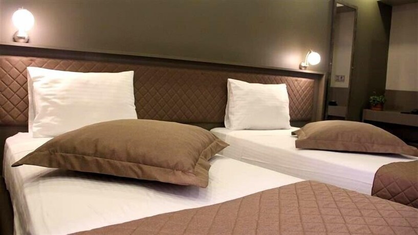 Imagen de la habitación del Turkeli Hotel. Foto 11
