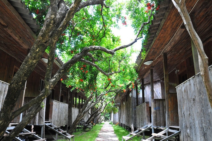 Imagen de la habitación del Turkmen Tree Houses. Foto 10