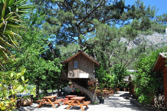 Imagen de los interiores del Turkmen Tree Houses. Foto 18