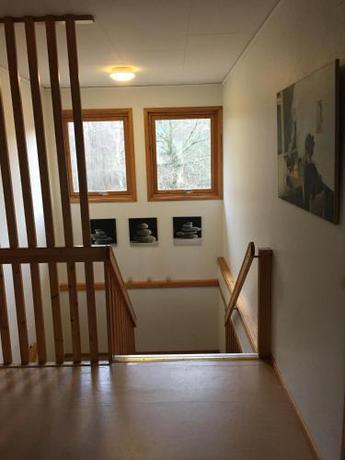 Imagen general del Tyleb&auml;ck Kursg&aring;rd - vandrarhem och stugor. Foto 2