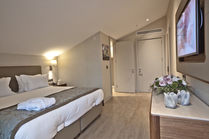 Imagen de la habitación del Tzl Suites. Foto 9